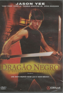 Dragão Negro: O Guerreiro das Sombras - Poster / Capa / Cartaz - Oficial 1