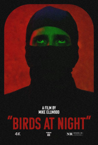 Poster 1 de Filme Birds at Night (2023)