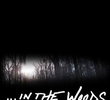 In the Woods
