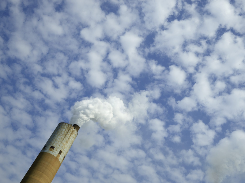 Foto 5 de The Human Element