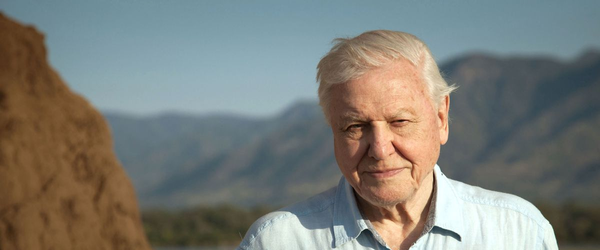 David Attenborough travels to seven continents for new BBC series