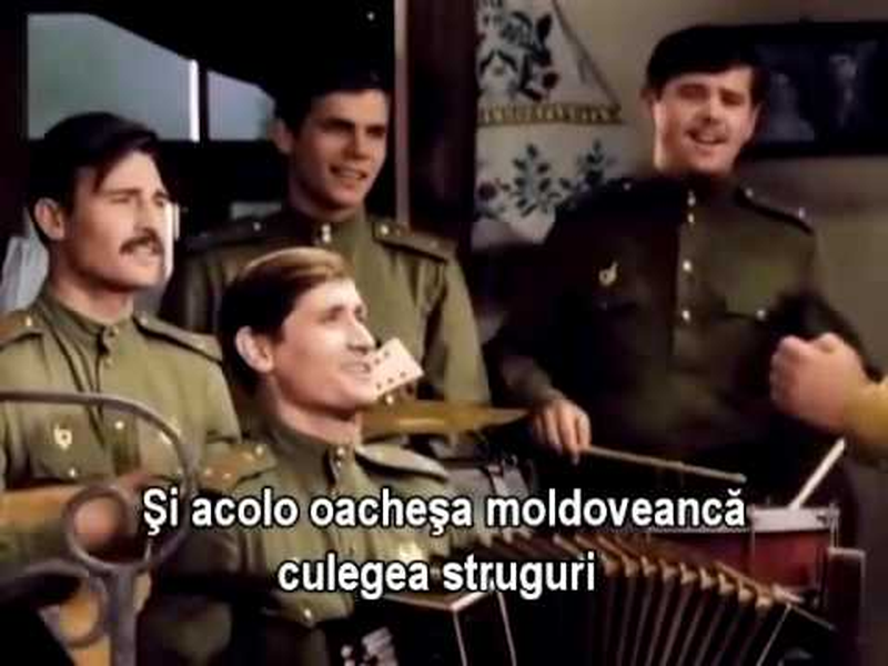 Foto 12 de Only Old Men Are Going to Battle