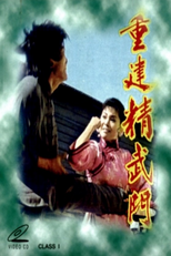 The Supergirl of Kung Fu (Zhong jian jing wu men)