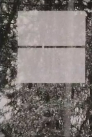 Poster 1 de Curta Common Air (1984)