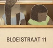 Bloeistraat 11