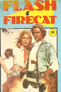 Flash e Firecat - Poster / Capa / Cartaz - Oficial 2