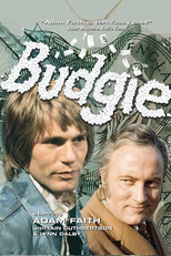 Budgie (Budgie)