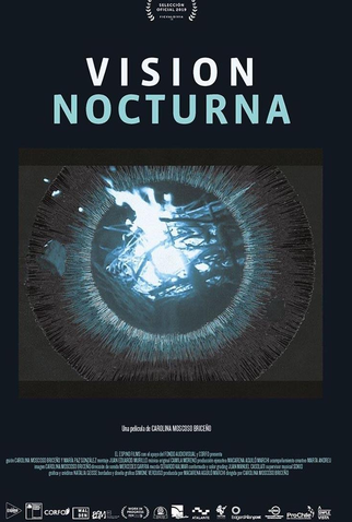 Poster 2 de Filme Visão Noturna (2019)