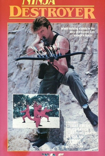 Ninja Destroyer - Poster / Capa / Cartaz - Oficial 2
