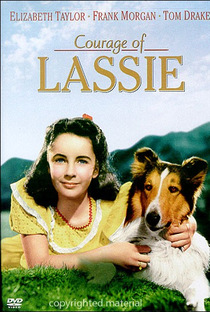 A Coragem de Lassie - Poster / Capa / Cartaz - Oficial 1
