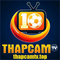 Thapcamtv top