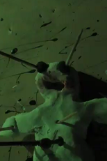 Oswald's Nightmare (Oswald's Nightmare)