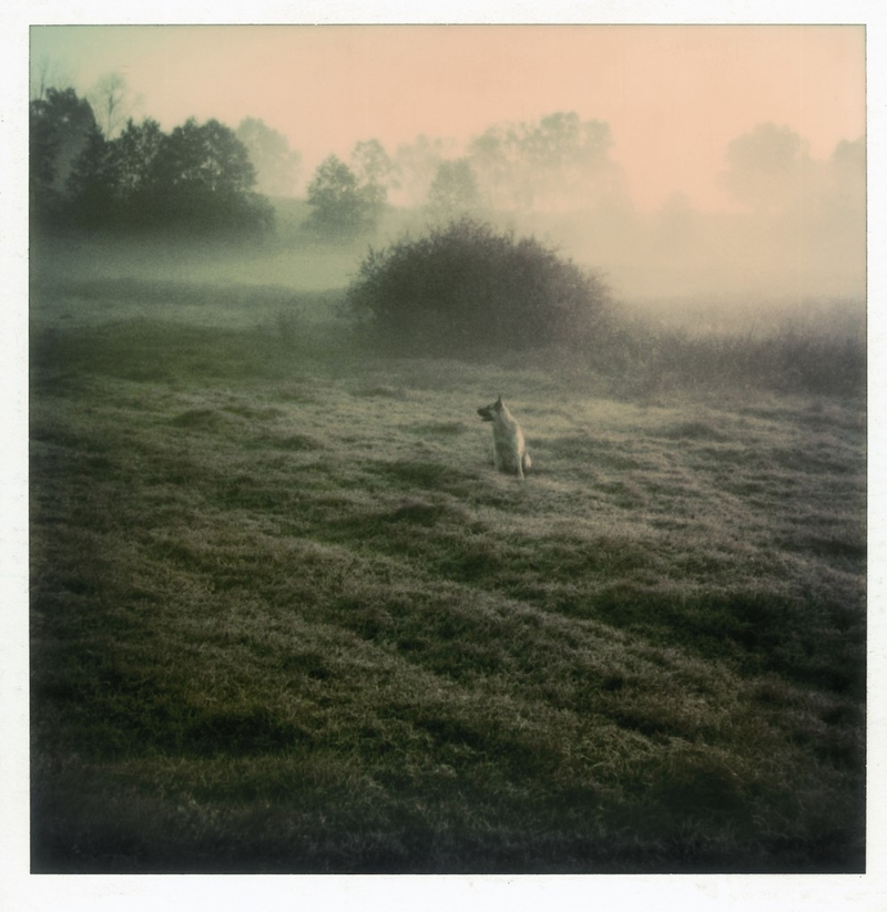 Gabriel - Foto 5