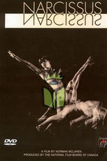 Narcissus (Narcissus)