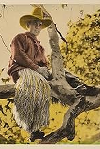 Poster 2 de Filme O Pacificador (1926)