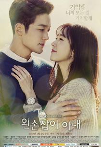 Left-Handed Wife (Oensonjabi Anae)