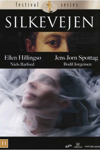 Poster de Filme Estrada de seda (None)