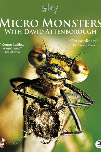  de Série O Micromundo dos Artrópodes (2013)