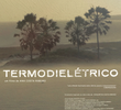 Termodielétrico