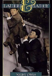 Rififi Às Avessas (The Night Owls)