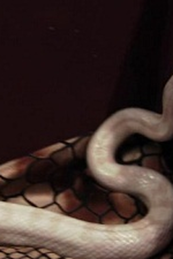 Poster de Episódio Animal Instinct (2012)