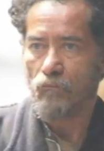 O Homem que Roubou um Pato (O Homem que Roubou um Pato)