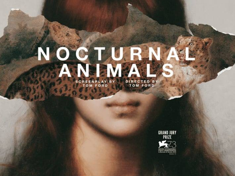 Foto 4 de Animais Noturnos