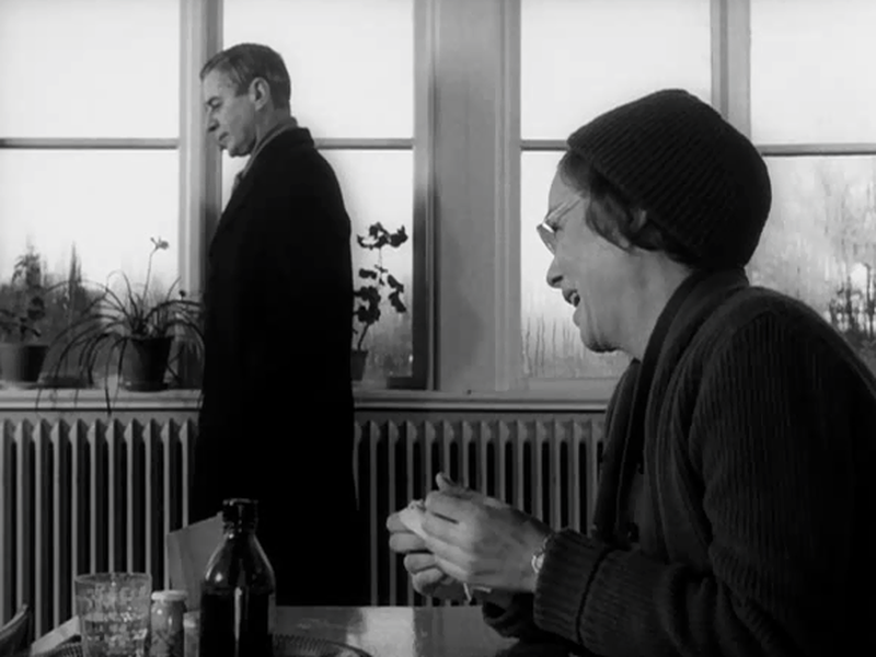 Foto 5 de Luz de Inverno