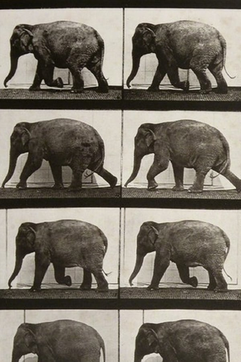  de Curta Elephant Walking (1887)