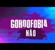 Gordofobia Não