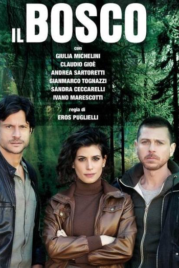 Poster de Série O Bosque Escuro (2015)