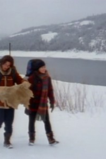 Poster de Episódio The Quest (1995)