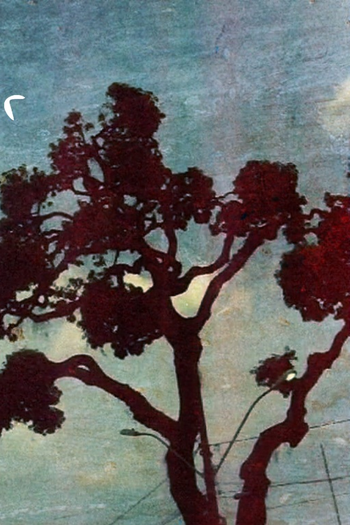 Poster de Curta Qual a cor do seu céu ? (2013)