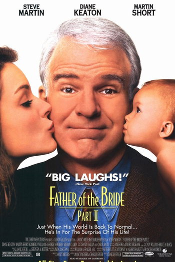  de Filme O Pai da Noiva 2 (1995)