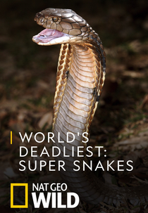 As Cobras Mais Perigosas do Mundo (World's Deadliest: Super Snakes)