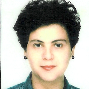 Foto de perfil de Maria Irene Carvalho