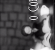 O Corvo