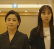 오늘부터 우리는