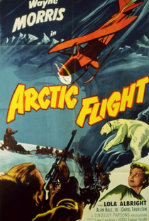 Arctic Flight - Poster / Capa / Cartaz - Oficial 1