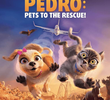 Pets em Ação!