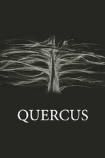 Quercus (Quercus)