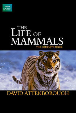 Poster 1 de Série A Vida dos Mamíferos (2002)