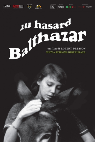 Poster 7 de Filme A Grande Testemunha (1966)