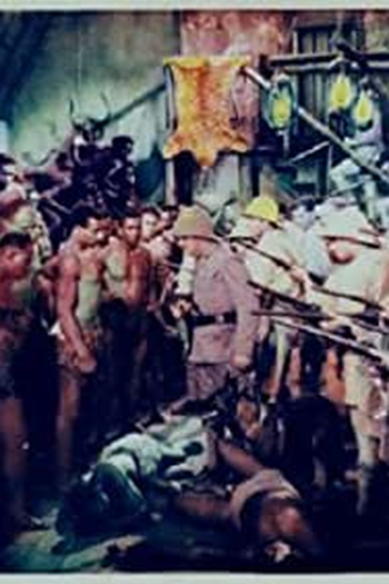 Poster de Filme The Man Hunter (1930)