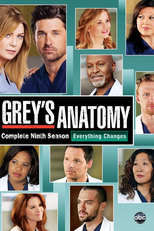 A Anatomia de Grey (9ª Temporada) (Grey's Anatomy (Season 9))