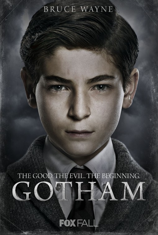 Poster 4 de Série Gotham (1ª Temporada) (2014)