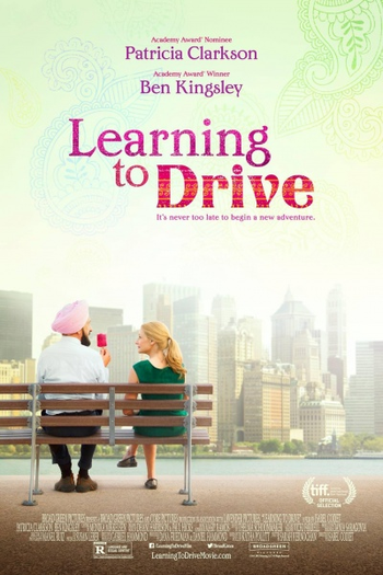 de Filme Assumindo a Direção (2014)