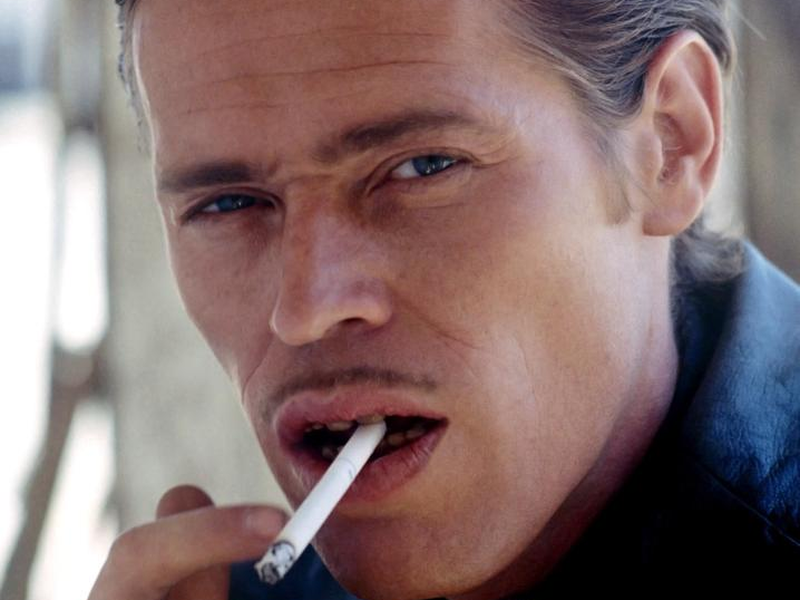 Foto 57 de Coração Selvagem