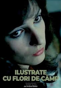 Postcards with Wildflowers (Ilustrate cu flori de câmp)