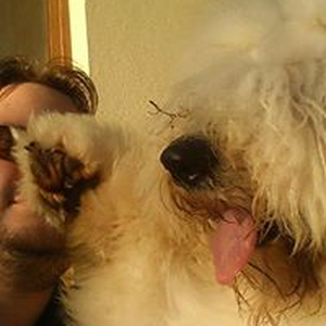 Foto de perfil de Johann